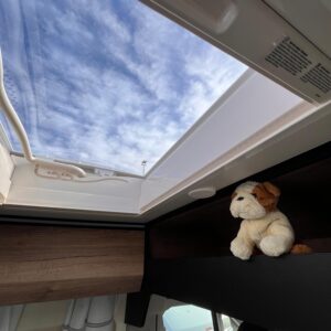 WhatsApp Image 2026-03-14 at 10.14.22 (1)